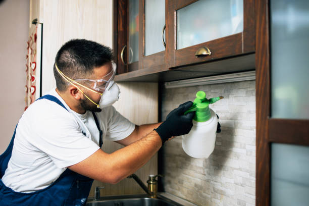 Best Affordable Pest Control Services  in Rushvle, IL