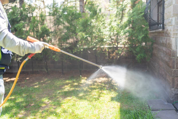 Best Pest Prevention Services  in Rushvle, IL