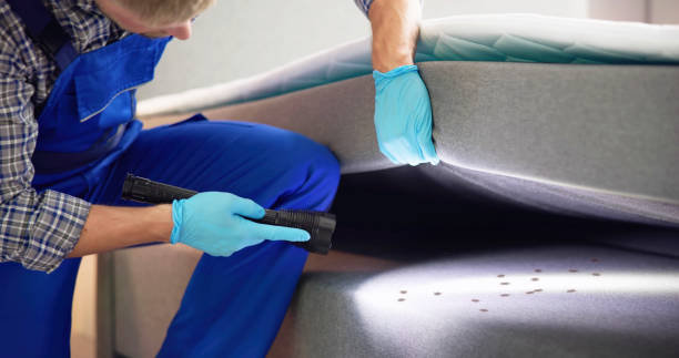 Best Wasp Removal Services  in Rushvle, IL
