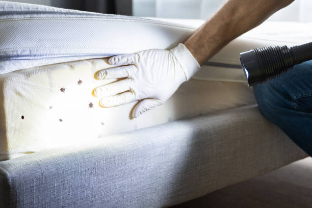 Best Best Pest Control Companies  in Rushvle, IL