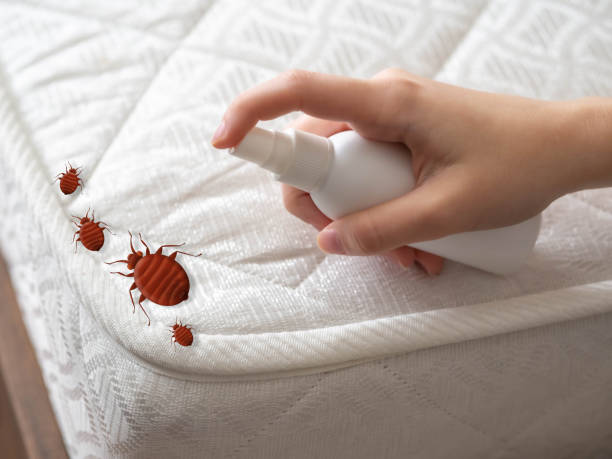 Best Cockroach Control Services  in Rushvle, IL