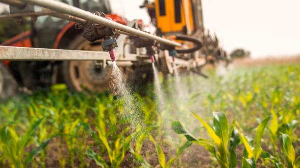 Best Local Pest Control Services  in Rushvle, IL